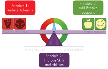 Resilience Scale with principles