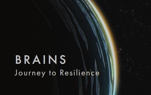 Brains Journey to Resilience